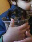 linda esta en un vaso que sujeta mario(mi hermano pequeño) linda esta en un vaso que sujeta mario(mi hermano pequeño)